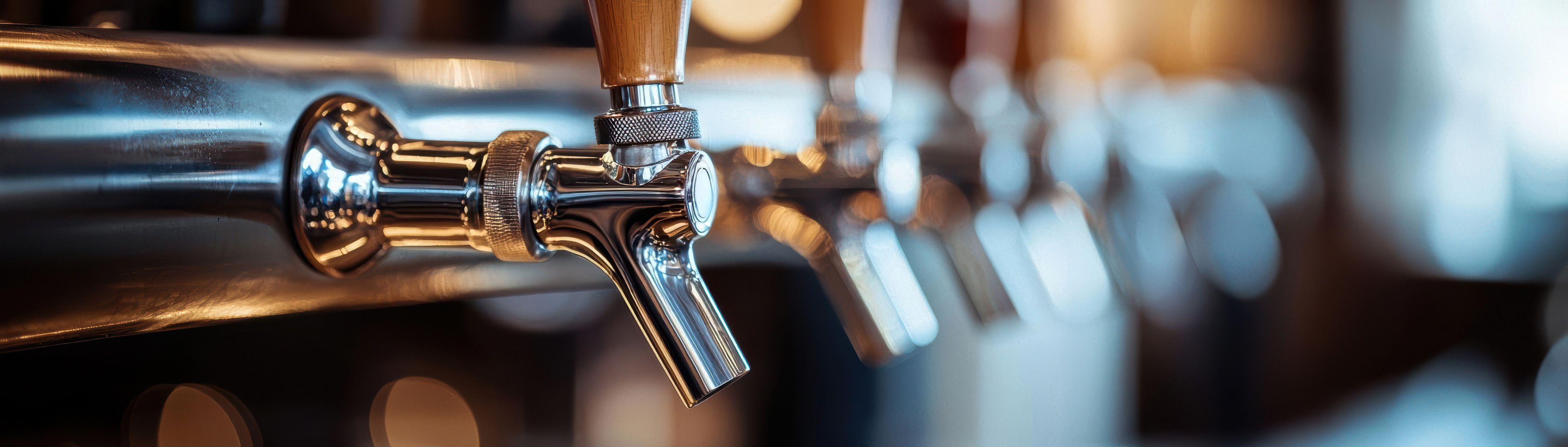 Twin Lights Brewing banner image